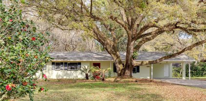205 Sandyhook Lane, Deland