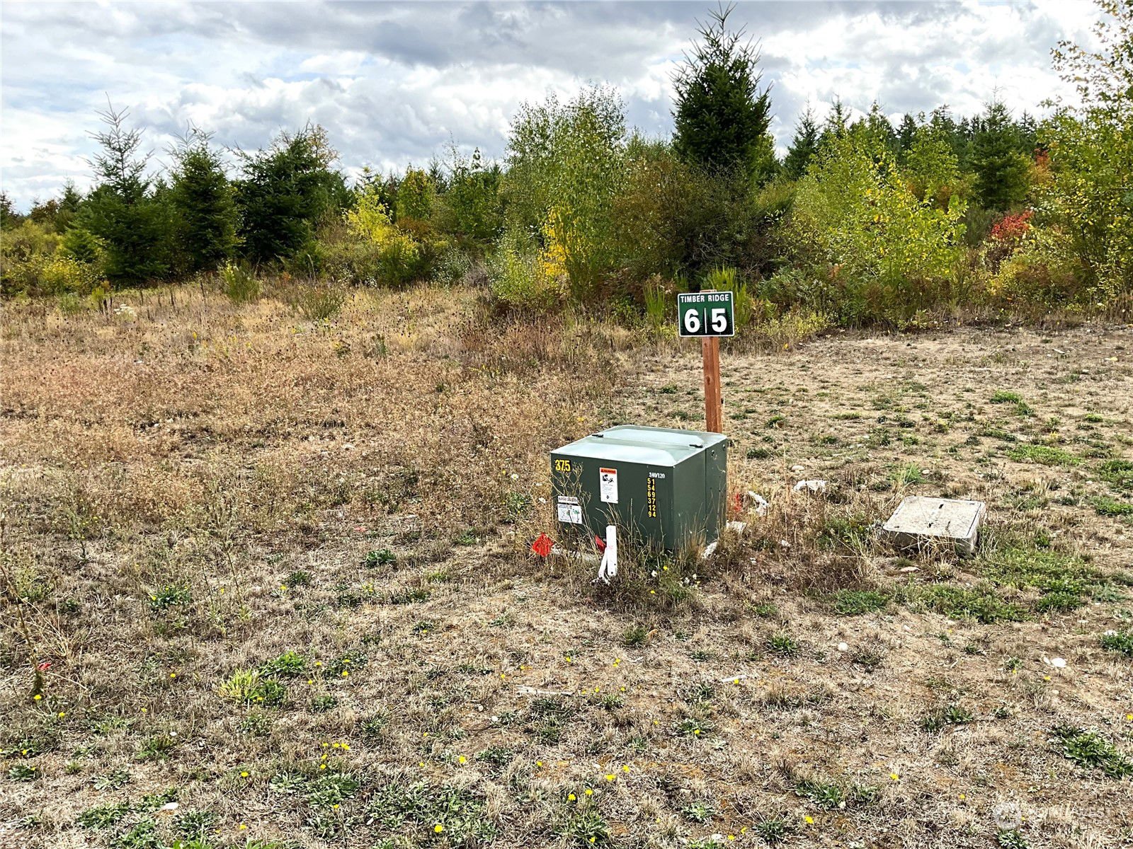 15610 Timber Ridge Drive SE, Yelm MLS 2166946 Skyline Properties