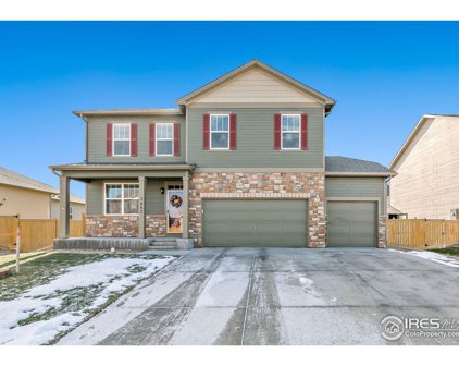3657 Torch Lily St, Wellington