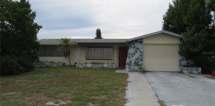 3633 Calera Drive, New Port Richey