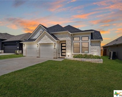 17724 Zinfandel Drive, Pflugerville