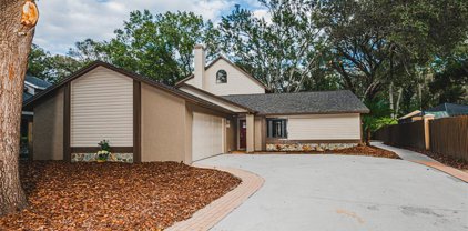 2730 Lakeville Drive, Tampa