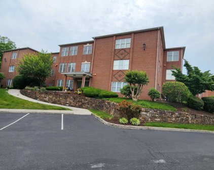 3050 Mcvitty Forest  Dr Unit #209, Roanoke