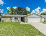 12807 Tallowood Drive, Riverview image