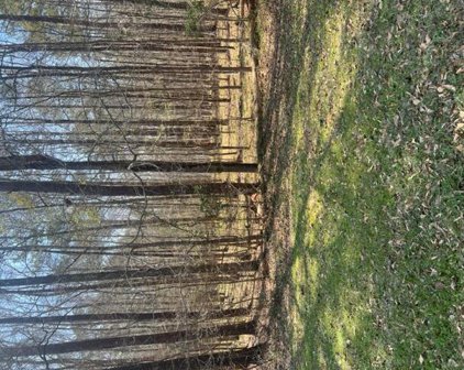 LOT 11 PETER CARNES Drive, North Augusta
