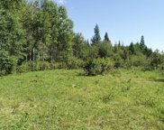 1101 State Hwy 38, Bigfork image