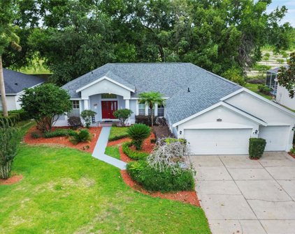 9013 Laurel Ridge Drive, Mount Dora