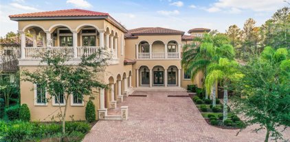 15020 Pendio Drive, Montverde