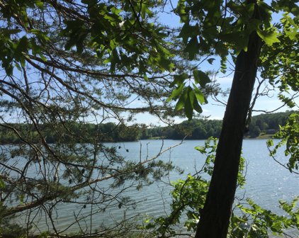 LOT 55 Blazing Ridge  Dr, Pittsville