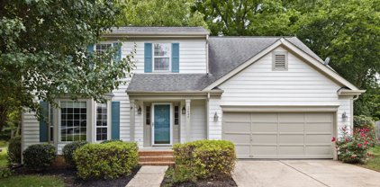 12432 Walkers Meadow  Lane, Charlotte