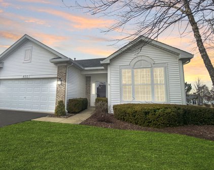 650 S Wellston Lane, Romeoville
