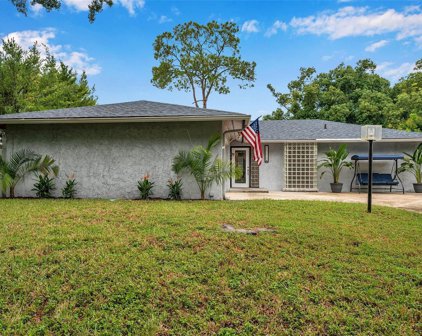 17618 Meadowbridge Drive, Lutz