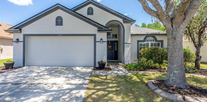 31133 Chatterly Drive, Wesley Chapel
