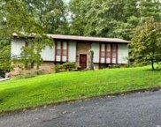 9904 Stagbush Rd, Powell image