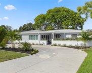10204 N Valle Drive, Tampa image