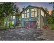 23603 NE 243RD CT, Battle Ground image