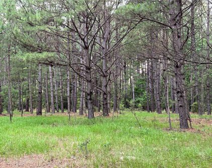 Langfordville Road, Ridgeland