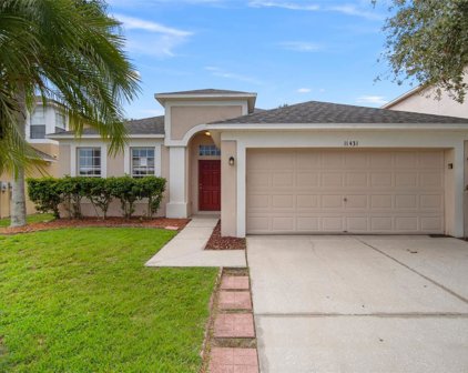 11431 Village Brook Drive, Riverview
