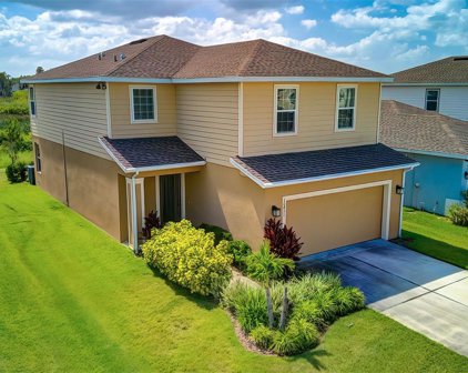 10491 Hawks Landing Drive, Land O' Lakes