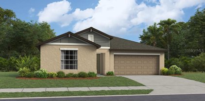 3607 Natural Trace Street, Plant City