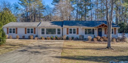 9103 Louis Drive Se, Huntsville