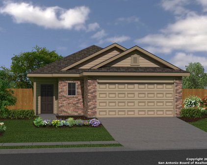 323 Saddle Leaf, Cibolo