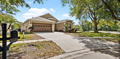 3522 Gray Whetstone Street, Brandon