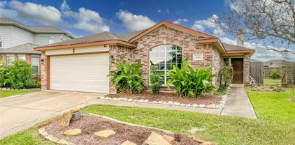 2901 Windy Hollow Lane, Dickinson