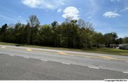 NA Chesnut Bypass, Centre image