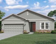 987 Kelly Fern, Ruskin image