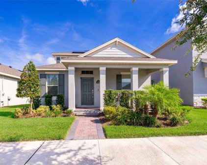16536 Sea Glass Street, Winter Garden