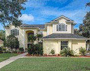 4158 Auston Way, Palm Harbor image