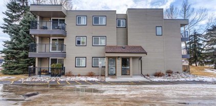40 Glenbrook Crescent Unit 201, Rocky View County