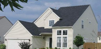 153 Rushmore, Bartlett