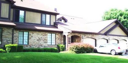 1911 Golf View Drive Unit #1911, Bartlett