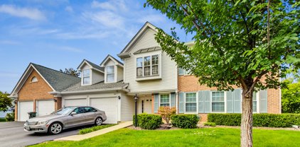 816 Butternut Lane Unit #C, Mount Prospect