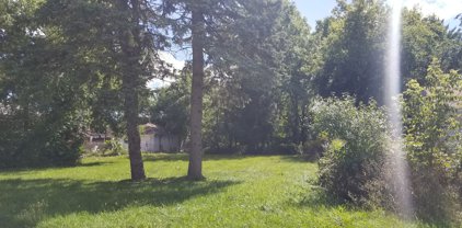 1015 W Euclid Avenue, Arlington Heights