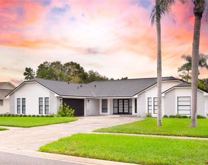 5525 Sago Palm Drive, Orlando