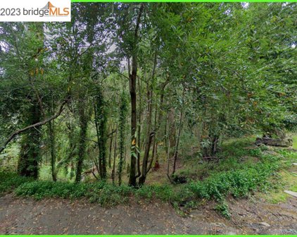 6080 Austin Creek Rd, Cazadero