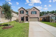 22175 Birchfield Grove Lane, New Caney image