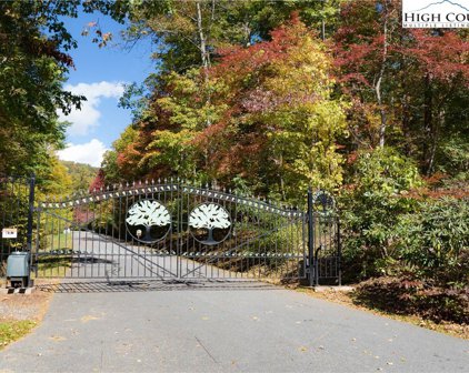 Lot 64 Fire Pink, Boone