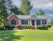6133 Summer Side Drive, Pinson image