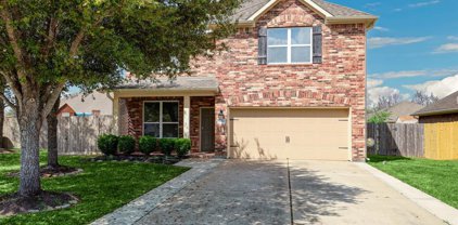 6103 Trout Court, Pearland