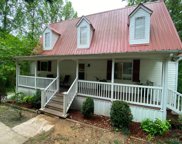 10031  County Line Rd, Dora image