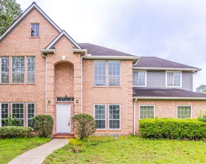 10819 Laneview Drive, Houston