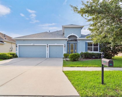 20118 Oakflower Avenue, Tampa