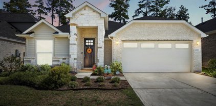 40527 Goldeneye Place, Magnolia