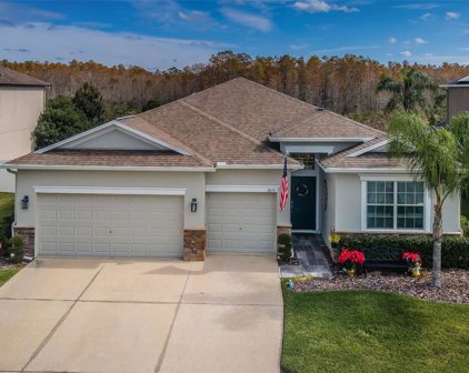3820 Round Table Court, Land O Lakes
