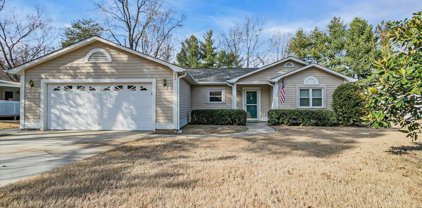 22 Woodtrace Circle, Greenville