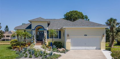 1007 Spoontail Court, Tarpon Springs